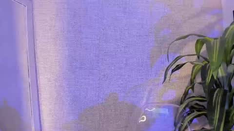 Danna Ortega online show from 04/28/26, 11:26