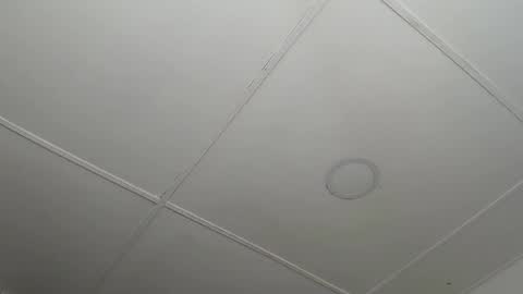 dannaberlin_0 online show from 02/12/25, 12:22