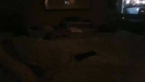 Snapshot of dannyb618 chatting on 12/24/24, 02:43 Danielle online show from 12/24/24, 02:43