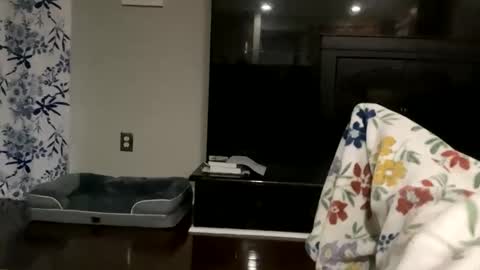 dannyboy621 online show from 10/17/25, 11:24