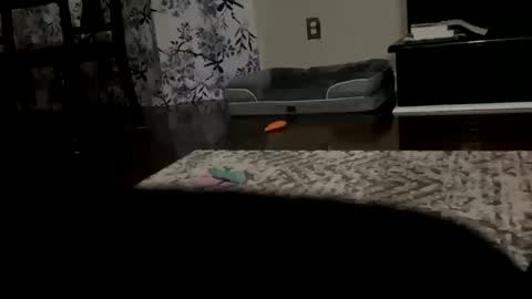 dannyboy621 online show from 10/20/25, 09:43