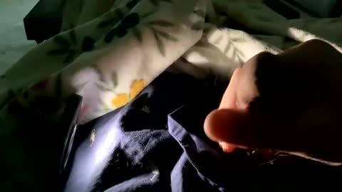 dannyboy621 online show from 11/09/25, 01:53