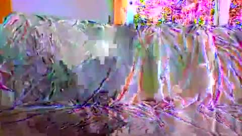 danwick69 online show from 09/17/25, 11:45