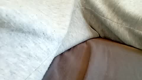 danydickontin online show from 07/25/26, 10:46