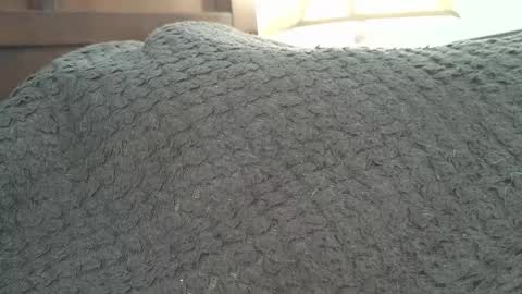 dapppper online show from 09/24/25, 02:20