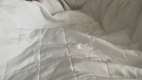 Dylan online show from 03/19/26, 01:48