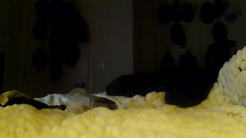 Snapshot of darichrichardson chatting on 01/13/26, 06:08 Betty and Robert Play time online show from 01/13/26, 06:08