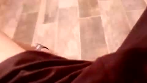 dario1127 online show from 12/15/25, 06:45