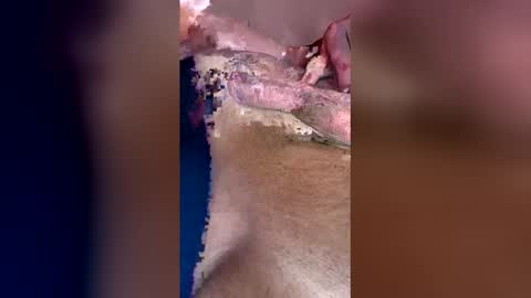 darklight69s25 online show from 04/12/26, 03:28