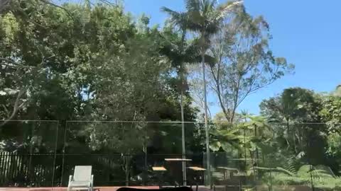 Snapshot of dartanian0001 chatting on 09/30/25, 02:05 dartanian0001 online show from 09/30/25, 02:05