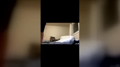 Snapshot of davenohere chatting on 02/22/26, 11:20 Exhibit A online show from 02/22/26, 11:20