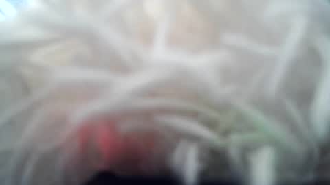 Snapshot of daverz3 chatting on 03/04/26, 08:42 daverz3 online show from 03/04/26, 08:42