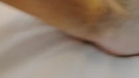 Snapshot of david1982yesyes chatting on 03/02/26, 02:02 david1982yesyes online show from 03/02/26, 02:02