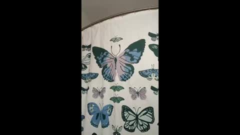 davidb510suckme online show from 05/17/26, 03:48