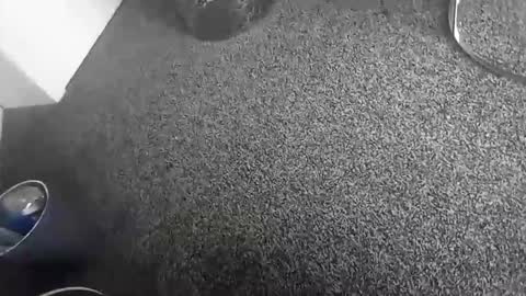 davidf75 online show from 11/17/25, 10:43