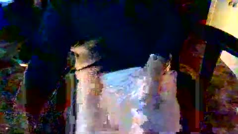 Snapshot of davidneedmore chatting on 03/03/26, 02:34 davidneedmore online show from 03/03/26, 02:34