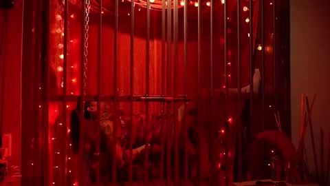 Snapshot of ddevourskitty chatting on 02/15/26, 05:37 D Devours Kitty online show from 02/15/26, 05:37