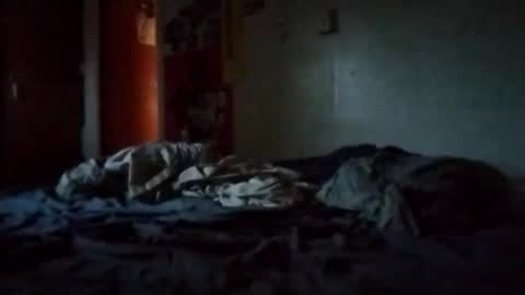 Snapshot of de396 chatting on 04/01/26, 11:33 Dan online show from 04/01/26, 11:33