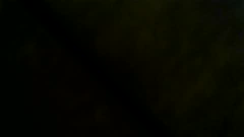 Snapshot of dealr9 chatting on 03/29/26, 05:07 dealr9 online show from 03/29/26, 05:07