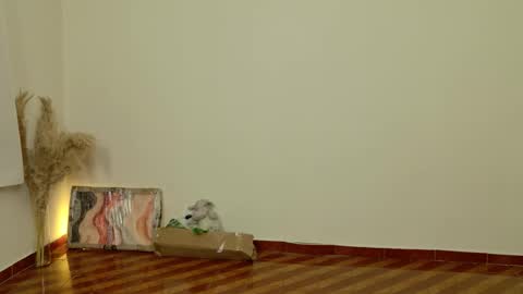 Dean online show from 02/06/26, 08:45