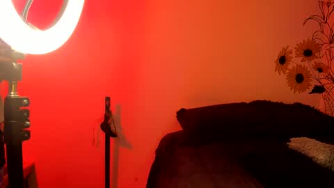 venus  adam online show from 12/04/24, 02:31