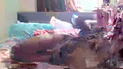 debbyslatter online show from 02/21/25, 09:13