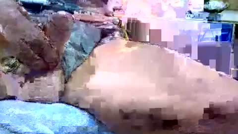 Snapshot of deepdiver3366 chatting on 01/19/26, 12:14 Dive Deep online show from 01/19/26, 12:14