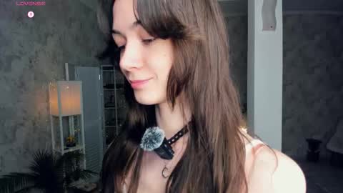 Amy online show from 12/13/25, 07:53