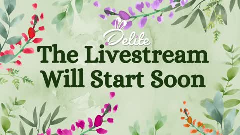 DeLite  Next stream on Wednesday or Thurdsay  online show from 06/04/26, 08:42