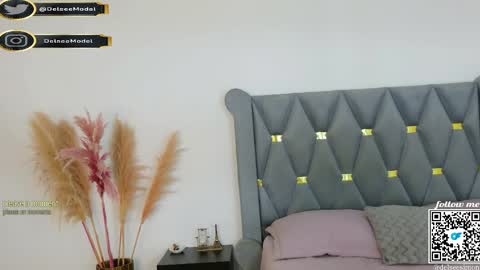  Delsee   online show from 05/06/26, 08:25