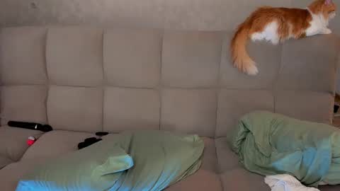 Snapshot of dementra chatting on 03/08/25, 02:55 Victoria and Nara twitterinstagram dementra rawrr online show from 03/08/25, 02:55