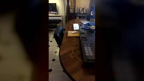 Demonomad online show from 03/19/26, 08:57