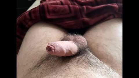 Snapshot of denis647 chatting on 02/10/26, 02:21 LilRoach online show from 02/10/26, 02:21