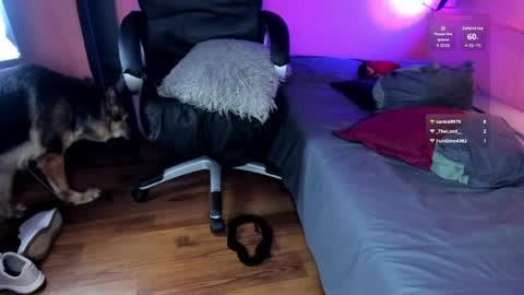NTMY guys im a kinda desi from Medellin  online show from 04/24/26, 09:06