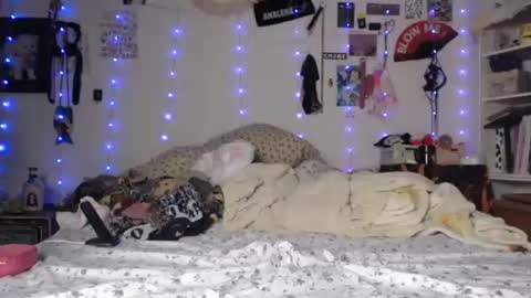 Snapshot of devilg1rl chatting on 01/29/25, 07:36 poutyangel online show from 01/29/25, 07:36