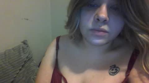 devykitten online show from 12/17/25, 12:33