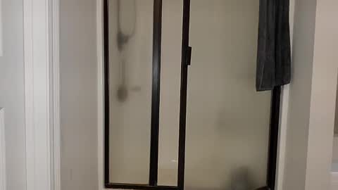 Dextercollins online show from 11/20/25, 04:18