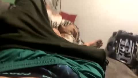 Dg online show from 01/13/26, 03:12