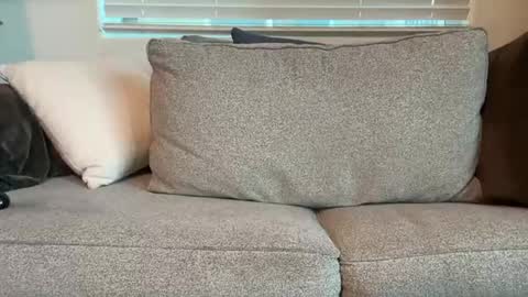 Snapshot of dgafsd chatting on 12/15/25, 03:27 dgafsd online show from 12/15/25, 03:27