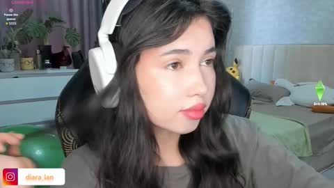 Snapshot of diara_lan chatting on 11/27/25, 03:19 Diara online show from 11/27/25, 03:19