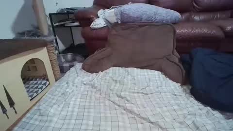 dickslayerdan online show from 11/22/25, 12:31