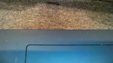 Snapshot of dicky_doo2 chatting on 01/05/25, 01:04 Bigmick online show from 01/05/25, 01:04