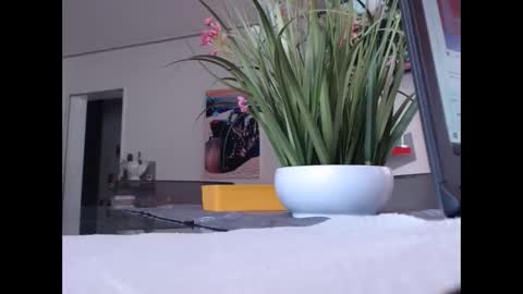 Snapshot of didiegal chatting on 11/01/25, 10:28 squirtcock online show from 11/01/25, 10:28