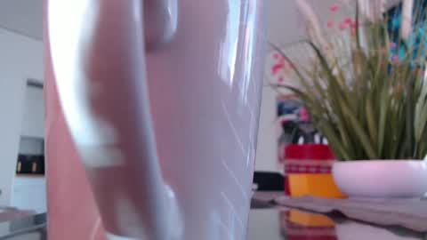 squirtcock online show from 03/04/26, 11:49