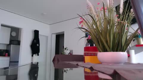 squirtcock online show from 04/02/26, 10:57
