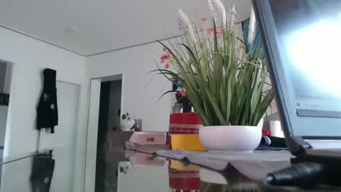 squirtcock online show from 04/12/26, 11:59