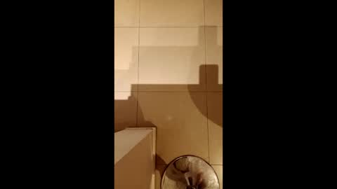 Snapshot of diegomoreno19 chatting on 02/21/26, 10:33 Diego online show from 02/21/26, 10:33