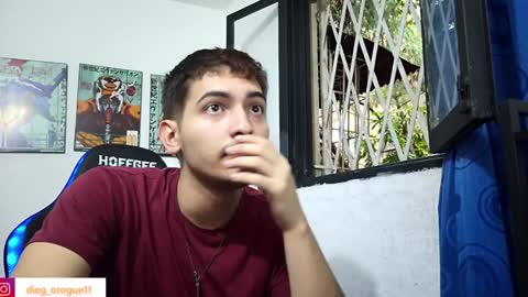 Snapshot of diegorogue_ chatting on 02/08/25, 09:15 Diego rogue online show from 02/08/25, 09:15