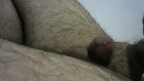 Snapshot of dilaradagci chatting on 12/28/24, 04:09 Bob online show from 12/28/24, 04:09