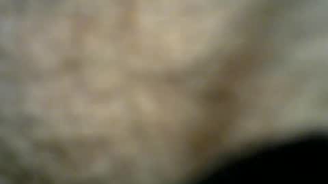 Snapshot of dilaradagci chatting on 07/26/26, 11:22 Bob online show from 07/26/26, 11:22